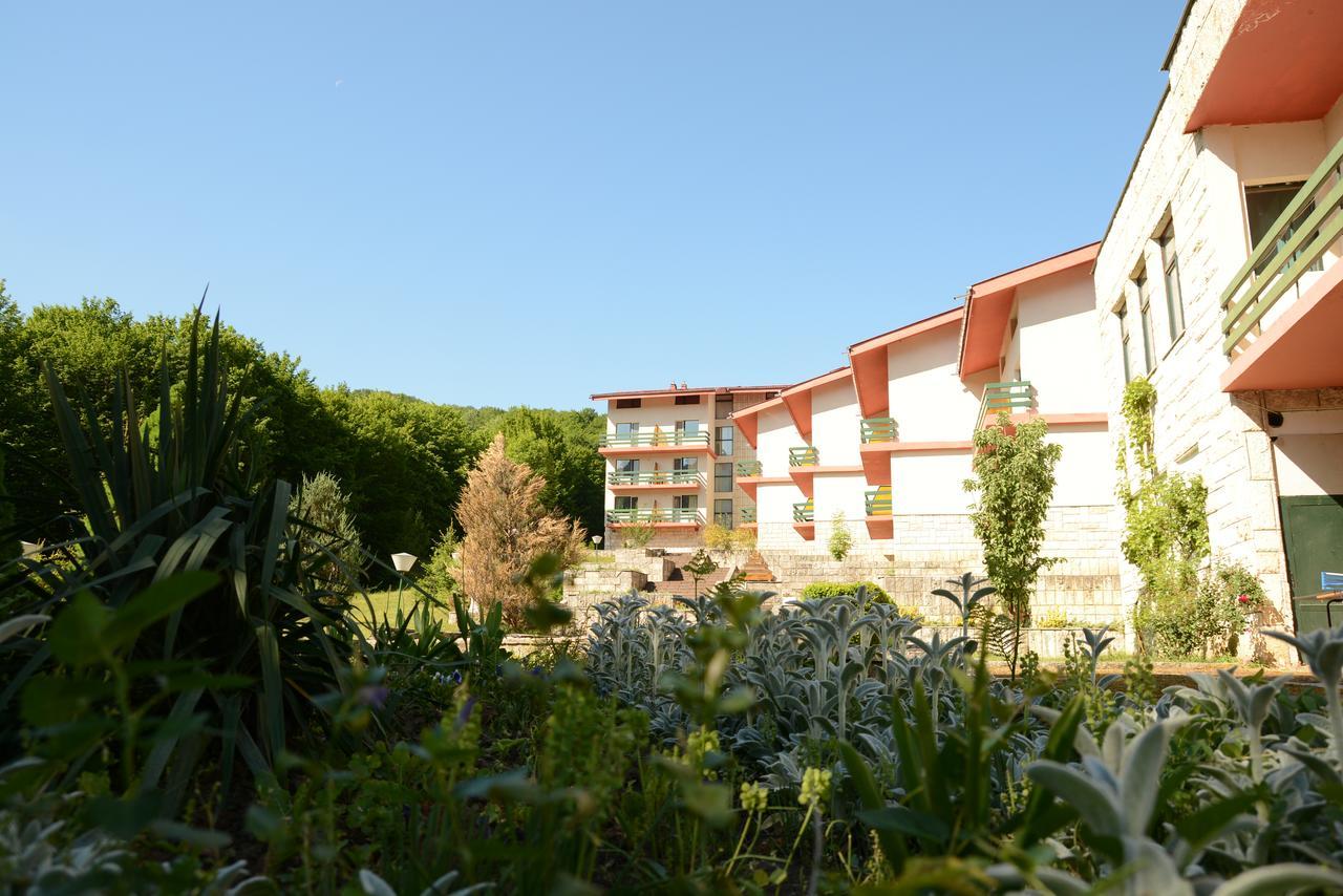 Park Hotel Ribaritsa Εξωτερικό φωτογραφία